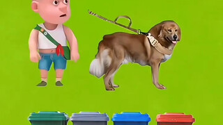 小小强的大狗狗！