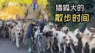 Những video động vật khiến người ta kinh ngạc!