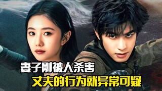 妻子刚被人杀害，丈夫的行为就异常可疑，悬疑片
