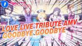 Goodbye, Goodbye! Tribute AMV | Love Live!_1