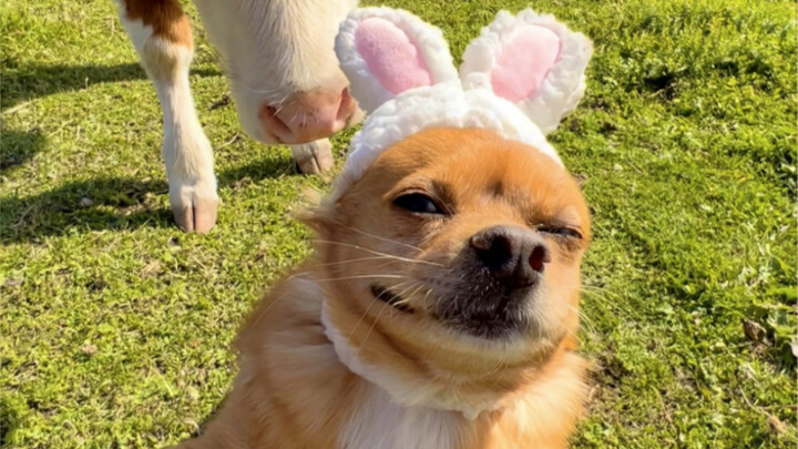 Hani’s on a trip but she’s acting up again!