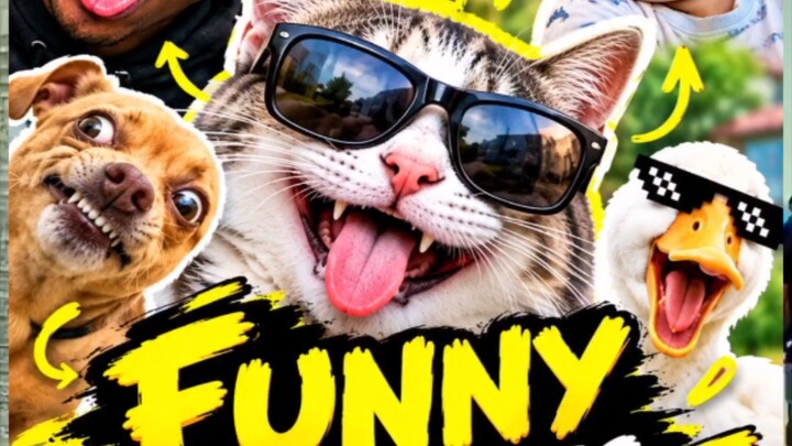 funny video 😂