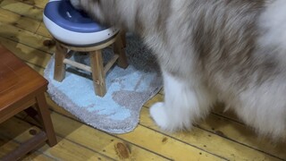 《沉 浸 式 喝 水》