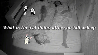 What's the cat doing when you sleep