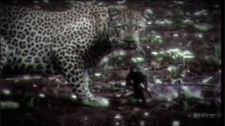 Jalan hidup setiap orang tidak bisa ditiru.