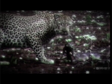 طريق كل إنسان لا يمكن تكراره.