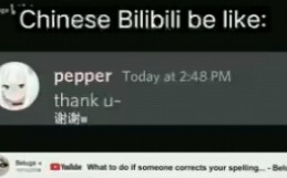 Chinese Bilibili is like