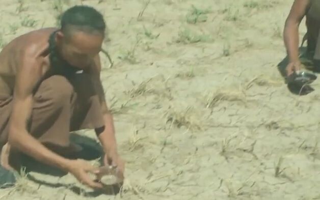 نصح الخبراء القدامى بعدم شرب الماء، بل صبّه كله على الشتلات الميتة.