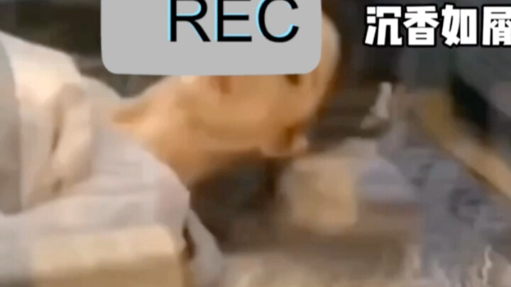 来到人间的颜淡，被吻后的反应……杨紫成毅 沉香如屑 💗同床共眠原声花絮 ❣️帝君最后那个笑，好迷人呀，我不行了🌸 沉香如屑后面有点甜哦