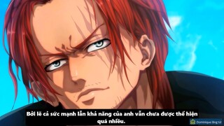 Dominique lãng tử - Review -  Bí Ẩn Về Thân Phận Thật Sự Của Shanks #anime #schooltime
