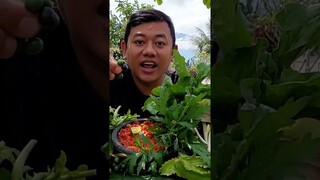 MAKAN RUMPUT LIAR DAN LALAPAN MENTAH SAMBAL TERASI