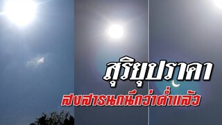 สุริยุปราคาวันนี้ (26 ธ.ค.2562) มืดพอที่จะทำให้นกบินกลับรังเป็นฝูงใหญ่