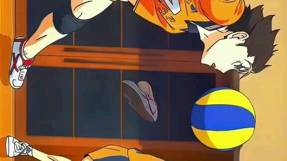 #Haikyu libero