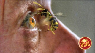 A scientist's crazy experiment creates the most dangerous wasps and they start attacking humans