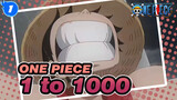 [ONE PIECE] 20 Years to Make 1 Change Into 1000_1