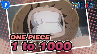 [ONE PIECE] 20 Years to Make 1 Change Into 1000_1