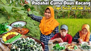 Wajib Coba ‼️ Daun Kacang di Masak Begini, Dijamin Bikin Lahap Makan, Lalapan, Masak di Desa