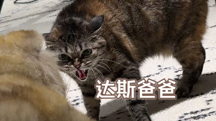 Nguyệt Nguyệt: Cậu mang cái thứ này đi cho tôi! Giận tím người
