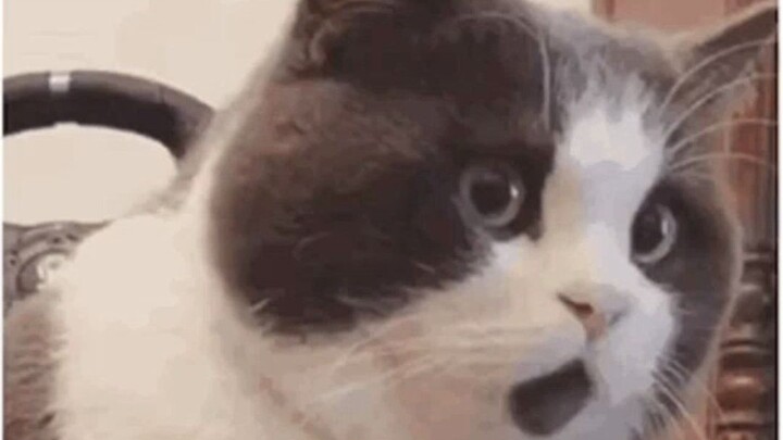 Kiến thức đã chui vào đầu tôi theo một cách cực kỳ đê tiện.