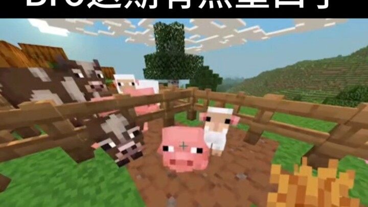 Minecraft: Oh My PCCC! #47