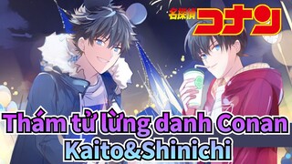 [Thám tử lừng danh Conan]Kuroba Kaito&Kudou Shinichi|Why Do You Love me?