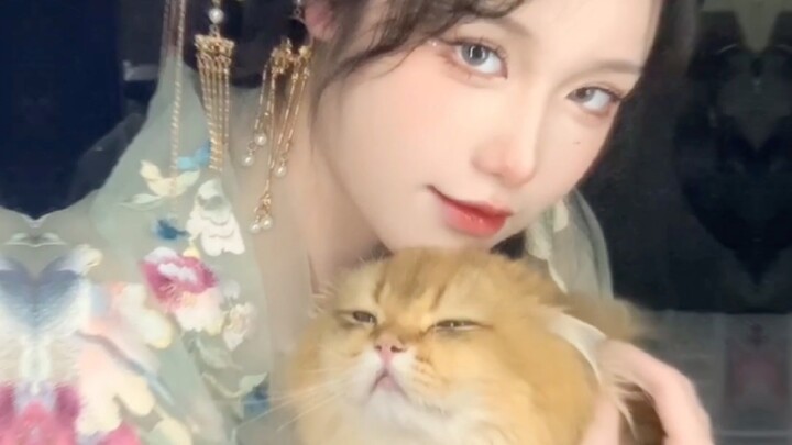 Cats Forced to Work | Traditional Chinese Makeup and Outfit