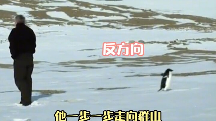 إنها تعلم ماذا يعني هذا، لكنها لا تندم. # عاطفة