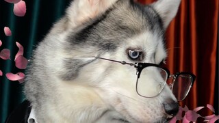 Ternyata wajah tampan memang tidak memilih efek khusus