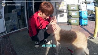 【SVT_ZER·0】[داخل سيفتين] يوم تسوق لسيفتين في لوس أنجلوس، محطة صفر مع ترجمة بالصينية