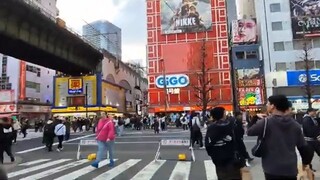 Exploring Tokyo Tower Area, Ginza & Akihabara Districts || Sunday Mass in Japan || 4th Day