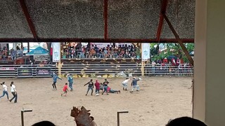 Rodeo2023