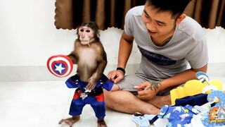 [Hewan] Peragaan busana Little Monkey YoYo