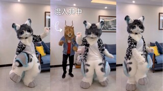 「当你在试图跳本草纲目的时候家长也穿毛混了进来」