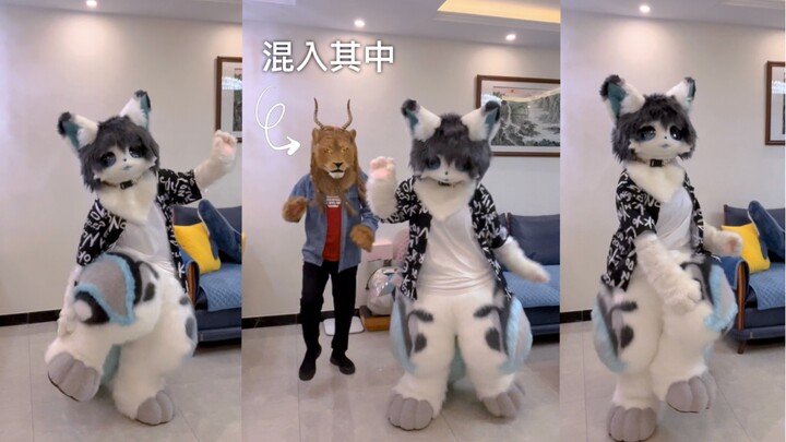 "When you're trying to jump into the Compendium of Materia Medica, your parents also slip in wearing