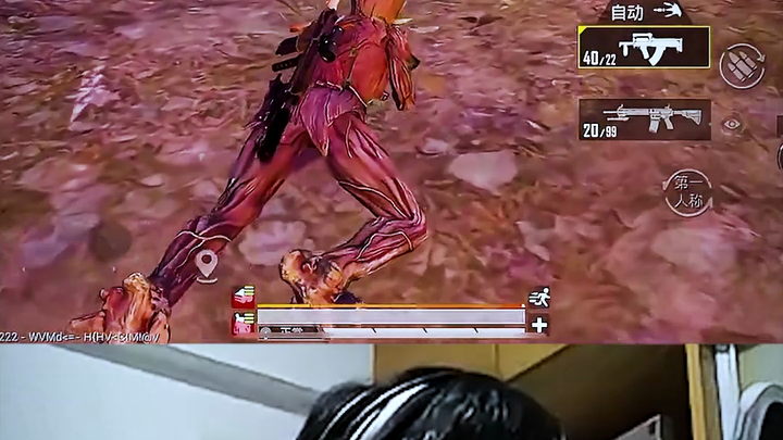 这个入真是桂！