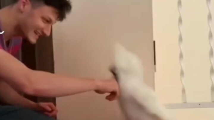 Hidung apa