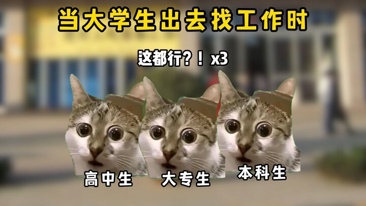 当大学生出去找工作！
