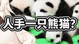 Every Chinese person has a panda! ?