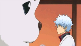 Trong Gintama, ngay cả chó cũng là kẻ phàn nàn cấp 10