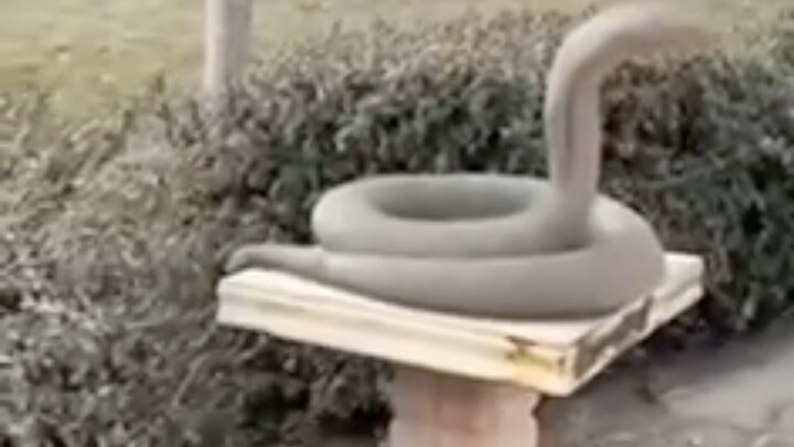 รูปปั้นงูเห่าหินที่เหมือนมีชีวิตในสวนสาธารณะ