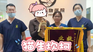 هذا الهرير الصغير سيئ الحظ، لكنه أيضًا محظوظ. أتمنى أن تلتقي جميع الحيوانات الصغيرة بملاكها الخاص.