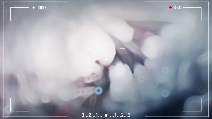 “亡命之徒 退无可退 王从天降 愤怒狰狞”再次重逢所有想说的话，变成一句 "原来是你"