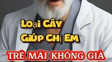 Loại cây giúp chị em trẻ mãi ko già.