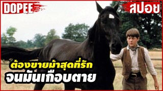 เมื่อคนเลี้ยงม้าบ้านเศรษฐีต้องมาตามหา“ม้า”สุดที่รักที่ถูกขายทิ้งไป |สปอบหนัง