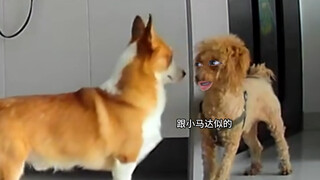 It just waltzed in here, perfectly crisp and smart in its goose step.