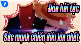 Đảo hải tặc|"Đây là sức mạnh chiến đấu lớn nhất của Đảo hải tặc?"_1