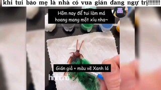 khi tui nói với ma rằng đang có vua gián ngự trị #haihuoc