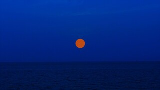 「净」——克莱因蓝短片