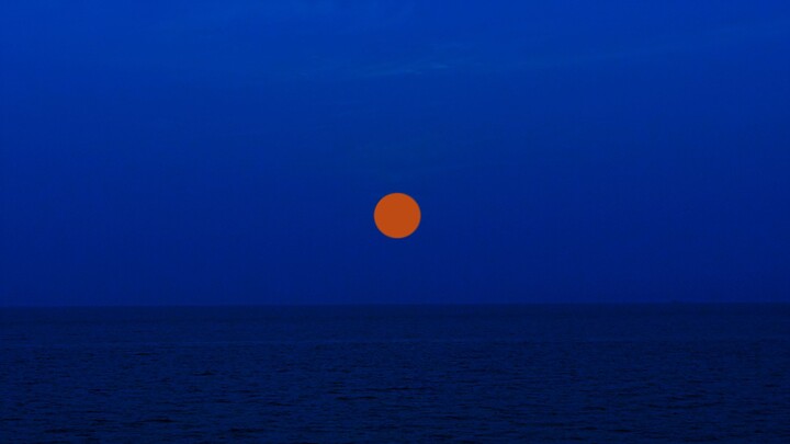 «Tịnh» — Phim ngắn màu xanh Klein