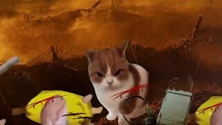 ยิงใส่ฉันเพื่อชัยชนะ!